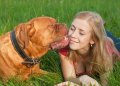 Click to view big image junge-madchen-und-ihrem-hund-franzosisch-mastiff-bordeauxdogge.jpg